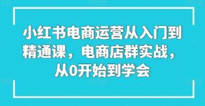小红书电商运营从入门到精通课，电商店群实战，从0开始到学会-星启会