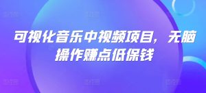 可视化音乐中视频项目，无脑操作赚点低保钱-星启会