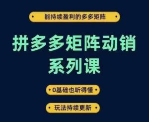 拼多多矩阵动销系列课，能持续盈利的多多矩阵，0基础也听得懂，玩法持续更新-星启会