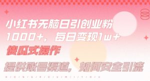 小红书无脑每日引流创业粉500+，小白每天只花半小时，躺赚长尾收益【揭秘】-星启会