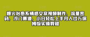 爆火治愈系情感文案视频制作，流量密码，冷门赛道，小白轻松上手月入过万保姆级实操教程【揭秘】-星启会