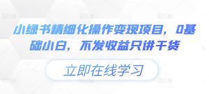 小绿书精细化操作变现项目，0基础小白，不发收益只讲干货-星启会