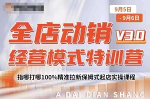 全店动销经营模式特训营，指哪打哪100%精准拉新保姆式起店实操课程-星启会