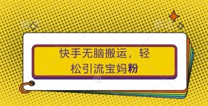 快手无脑搬运，轻松引流宝妈粉，纯小白轻松上手【揭秘】-星启会