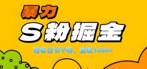单人单机日引千粉，变现1k+，S粉流量掘金计划攻略【揭秘】-星启会
