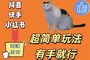 超简单玩法，有手就行，靠猫咪视频日入500+【揭秘】-星启会