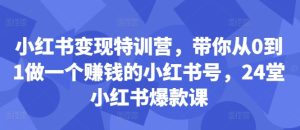 小红书变现特训营，带你从0到1做一个赚钱的小红书号，24堂小红书爆款课-星启会