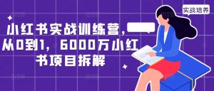 小红书实战训练营，从0到1，6000万小红书项目拆解-星启会