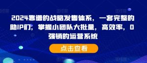 2024靠谱的战略发售体系，一套完整的助IP们，掌握小团队大批量，高效率，0 强销的运营系统-星启会