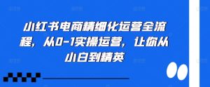 小红书电商精细化运营全流程，从0-1实操运营，让你从小白到精英-星启会