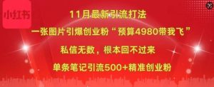 小红书11月最新图片打粉，一张图片引爆创业粉，“预算4980带我飞”，单条引流500+精准创业粉 –-星启会
