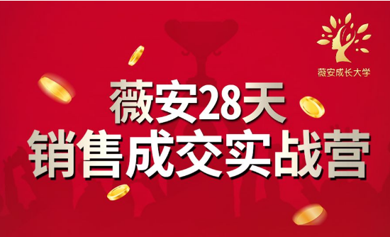 图片[1]-薇安28天销售成交实战营，5分钟成交3万，实现了月入近6位数的营收 –-星启会