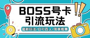 Boss直聘流量卡引流变现玩法，日引200+创业粉【揭秘】 –-星启会