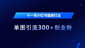 十一月小红书最新打法，单图引流300+创业粉【揭秘】 –-星启会