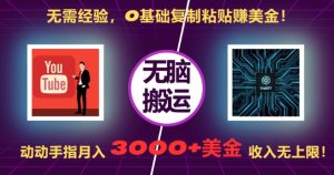 无需经验，0基础复制粘贴赚美刀，动动手指，月入3000+刀，无上限【揭秘】 –-星启会