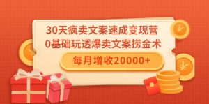 30天疯卖文案速成变现营，0基础玩透爆卖文案捞金术！每月增收20000+ –-星启会