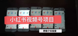野路子小红书视频号1.0项目，直接上手操作就能赚钱的视频号项目 –-星启会