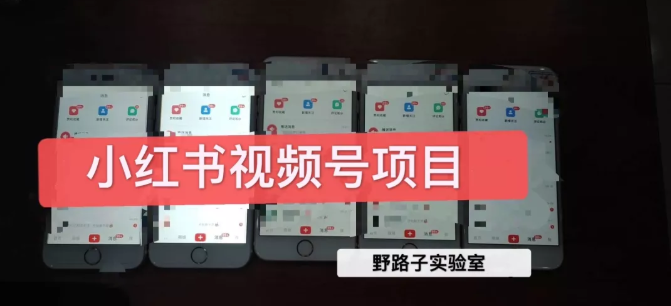 图片[1]-野路子小红书视频号1.0项目，直接上手操作就能赚钱的视频号项目 –-星启会