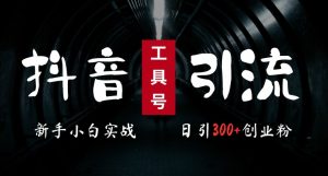 2024最新抖音工具号引流玩法，高效日引300+创业粉，当天变现5k，小白也可成为实战高手 –-星启会