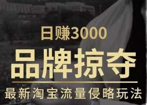日赚3000+品牌店群，最新淘宝流量侵略玩法（官方售价3600元） –-星启会
