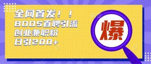 通过Boss直聘，每天轻松钓到200+多条创业大鱼的秘籍【揭秘】 –-星启会