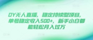 DY无人直播，稳定持续型项目，单号稳定收入500+，新手小白都能轻松月入过万【揭秘】 –-星启会