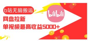 视频无脑搬运b站网盘拉新，单视频最高收益5k+【揭秘】 –-星启会