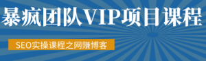 暴疯团队VIP赚钱项目教程之（SEO实操课程之网赚博客） –-星启会