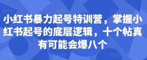 小红书暴力起号特训营，掌握小红书起号的底层逻辑，十个帖真有可能会爆八个-星启会