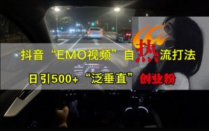 抖音EMO视频自热打法，日引500+“泛垂直”创业粉-星启会