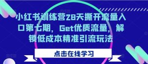 小红书训练营28天撕开流量入口第七期，Get优质流量，解锁低成本精准引流玩法-星启会