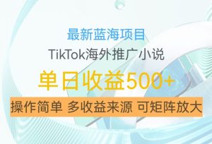 最新蓝海项目，利用tiktok海外推广小说赚钱佣金，简单易学，日入500+，可矩阵放大【揭秘】-星启会